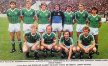 Load image into Gallery viewer, NORTHERN IRELAND 1984 HOME VINTAGE JERSEY RETRO FOOTBALL SHIRT