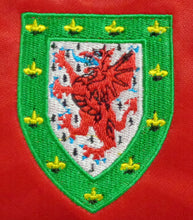 Load image into Gallery viewer, WALES 1987 HOME VINTAGE JERSEY RETRO FOOTBALL SHIRT