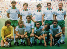 Load image into Gallery viewer, NORTHERN IRELAND 1982 AWAY VINTAGE JERSEY RETRO FOOTBALL SHIRT