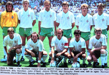 Load image into Gallery viewer, NORTHERN IRELAND 1986 WORLD CUP AWAY RARE VINTAGE JERSEY RETRO FOOTBALL SHIRT
