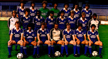 Load image into Gallery viewer, Brighton &amp; Hove Albion 1980 HOME RARE VINTAGE SOCCER JERSEY RETRO FOOTBALL SHIRT
