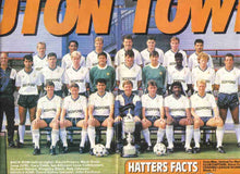 Load image into Gallery viewer, LUTON TOWN 1988 HOME RARE VINTAGE JERSEY RETRO FOOTBALL SHIRT
