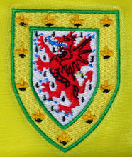 Load image into Gallery viewer, WALES 1984 AWAY YELLOW RARE VINTAGE JERSEY RETRO FOOTBALL SHIRT
