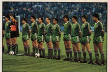 Load image into Gallery viewer, IRELAND 1986 HOME VINTAGE JERSEY RETRO FOOTBALL SHIRT
